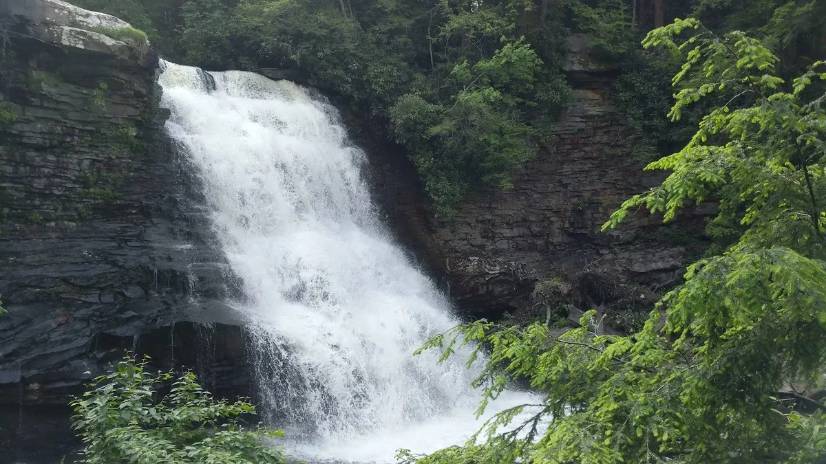 Swallow Falls State Park