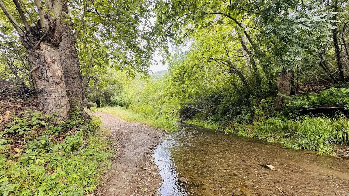 Sycamore Canyon Campground