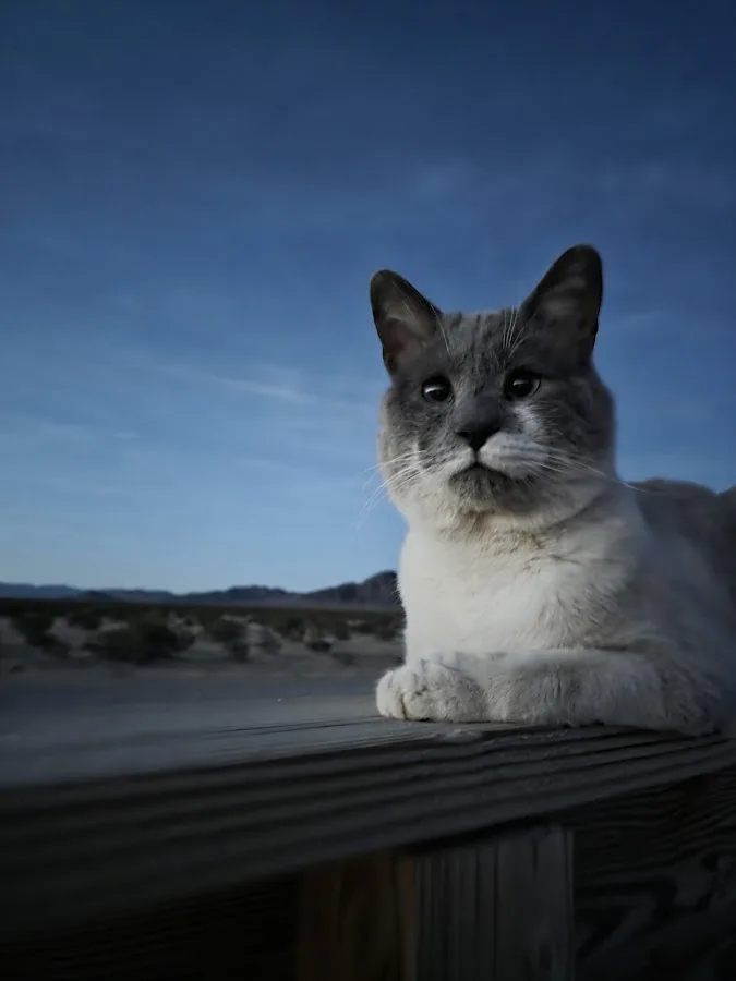 Tarantula Ranch Camping & Glamping