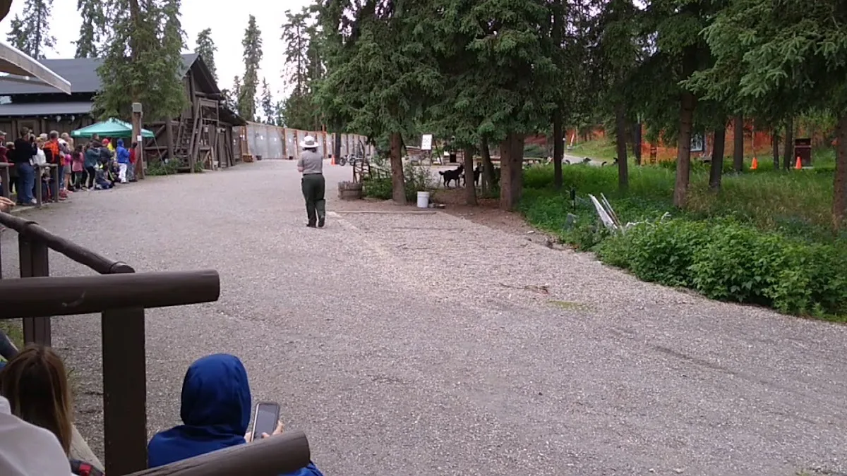 Teklanika River Campground