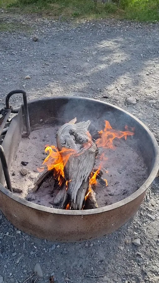 Teklanika River Campground