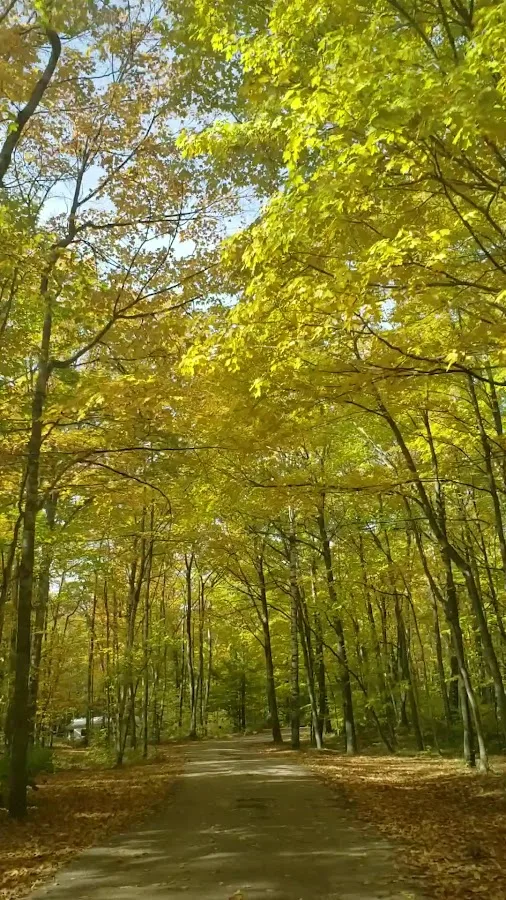 Tennison Bay Campground