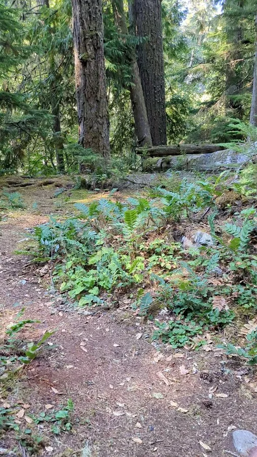 The Dalles Campground