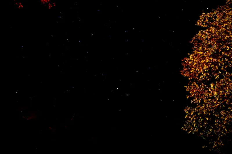 The Great Homestead Campground