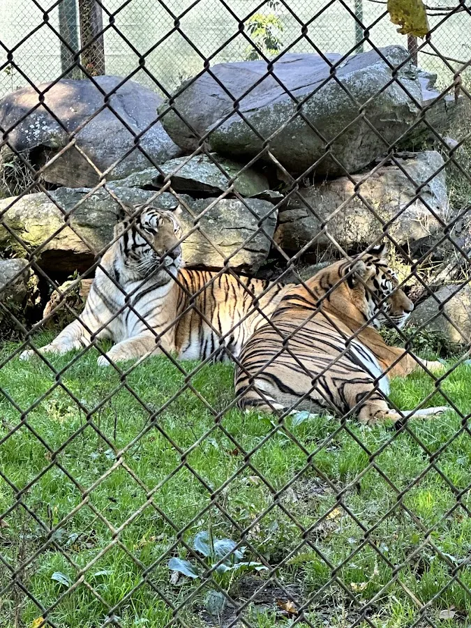 The Old Catskill Game Farm - Inn & Campsites