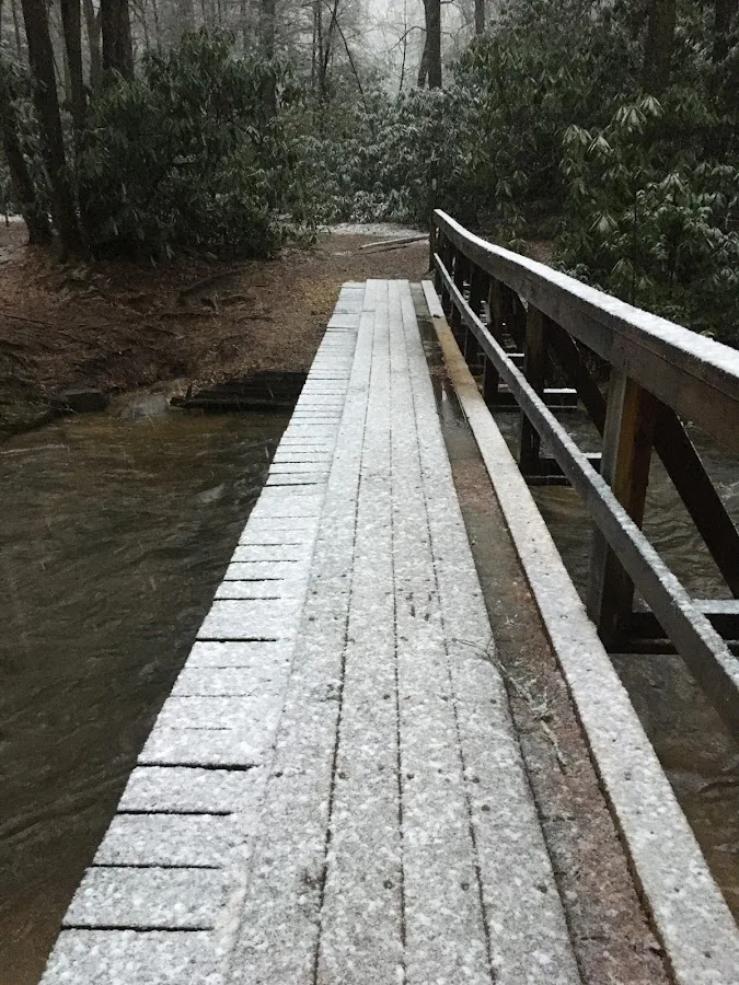 Three Forks USFS 58 4.3