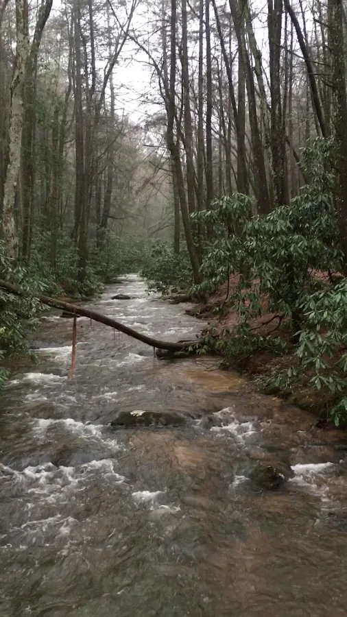 Three Forks USFS 58 4.3