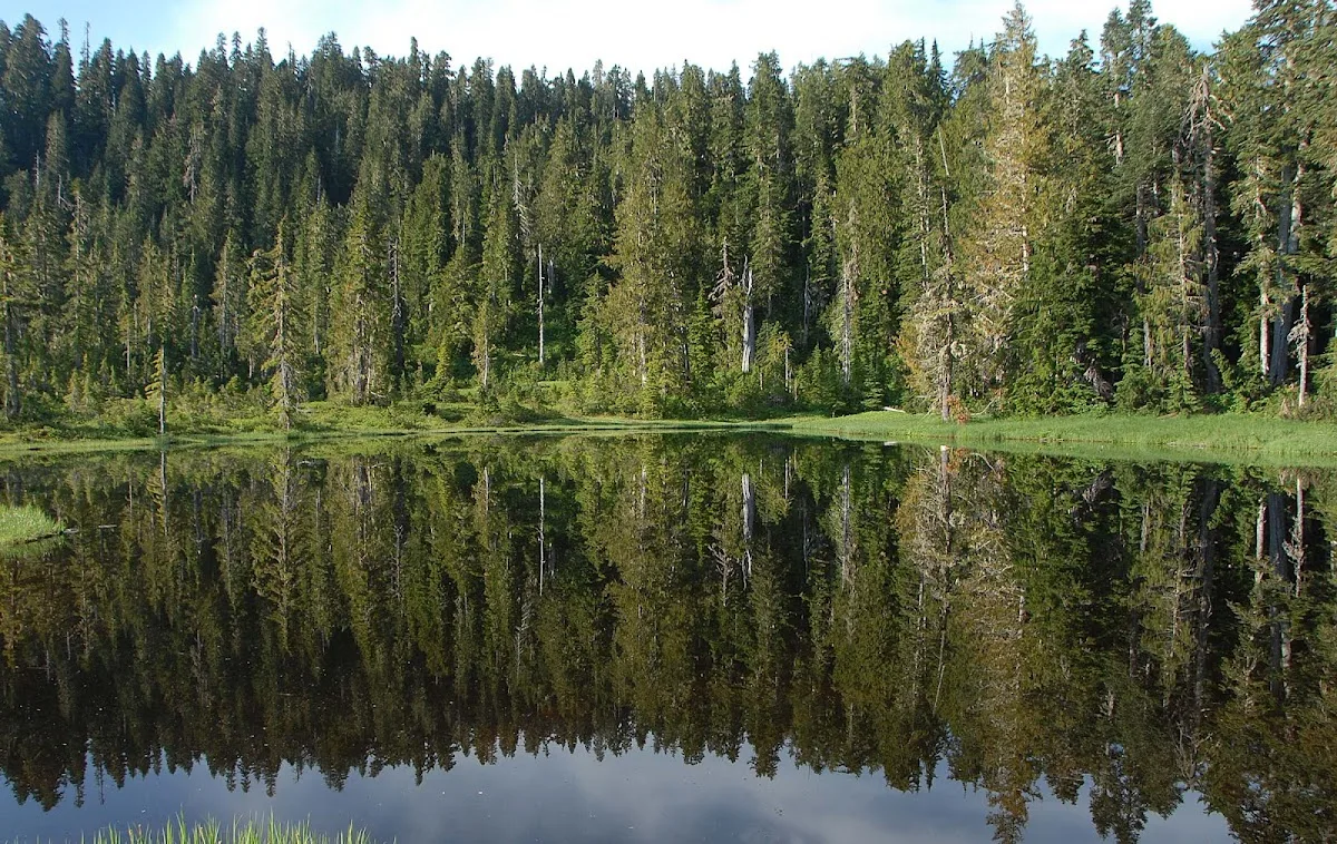 Three Lakes Campground, Olympic National Park