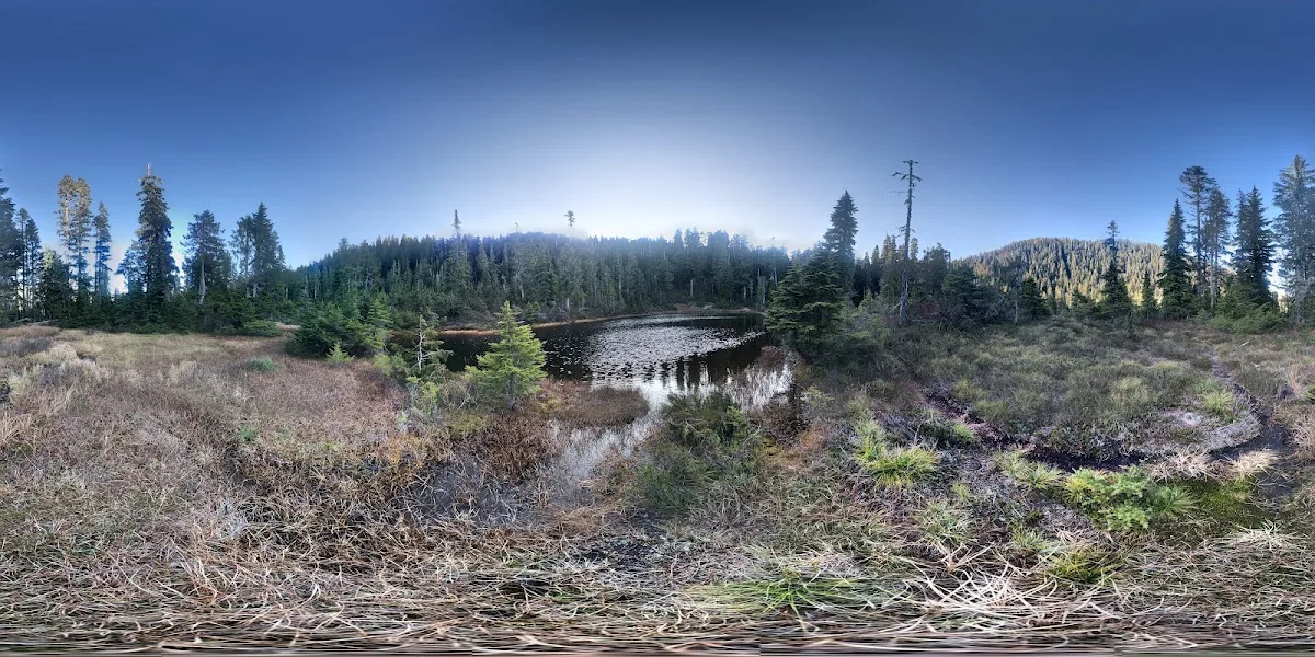 Three Lakes Campground, Olympic National Park