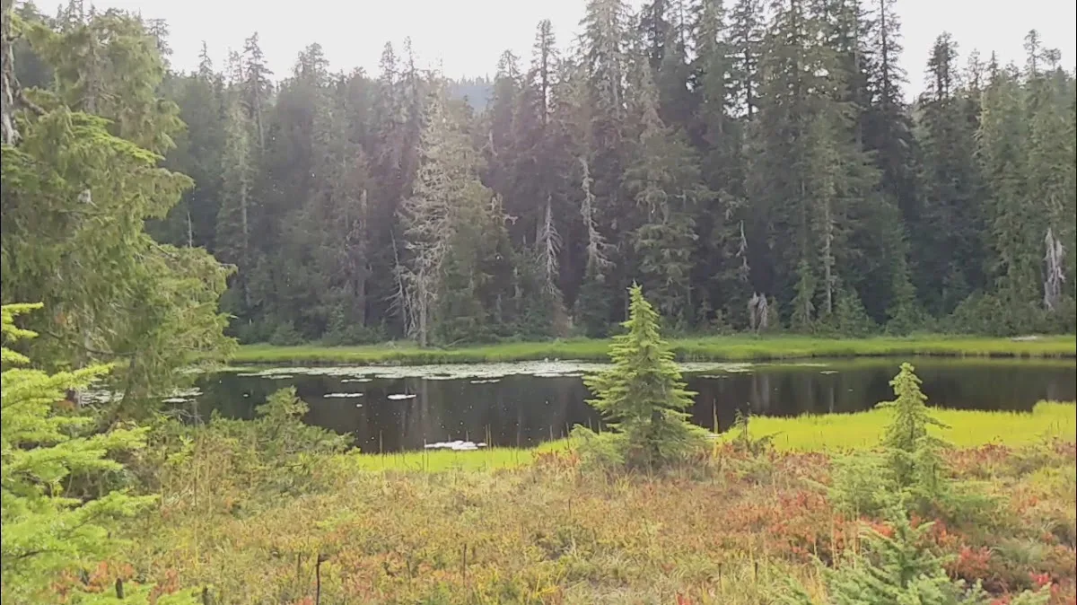Three Lakes Campground, Olympic National Park