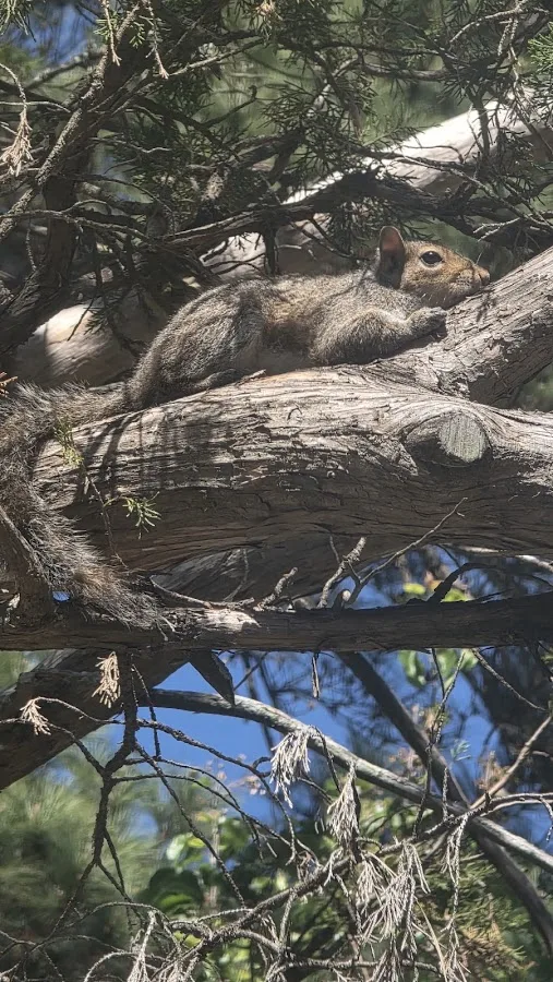 Timberlake Campground