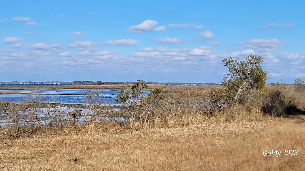 TIngles Island Camp, Assateague National Park