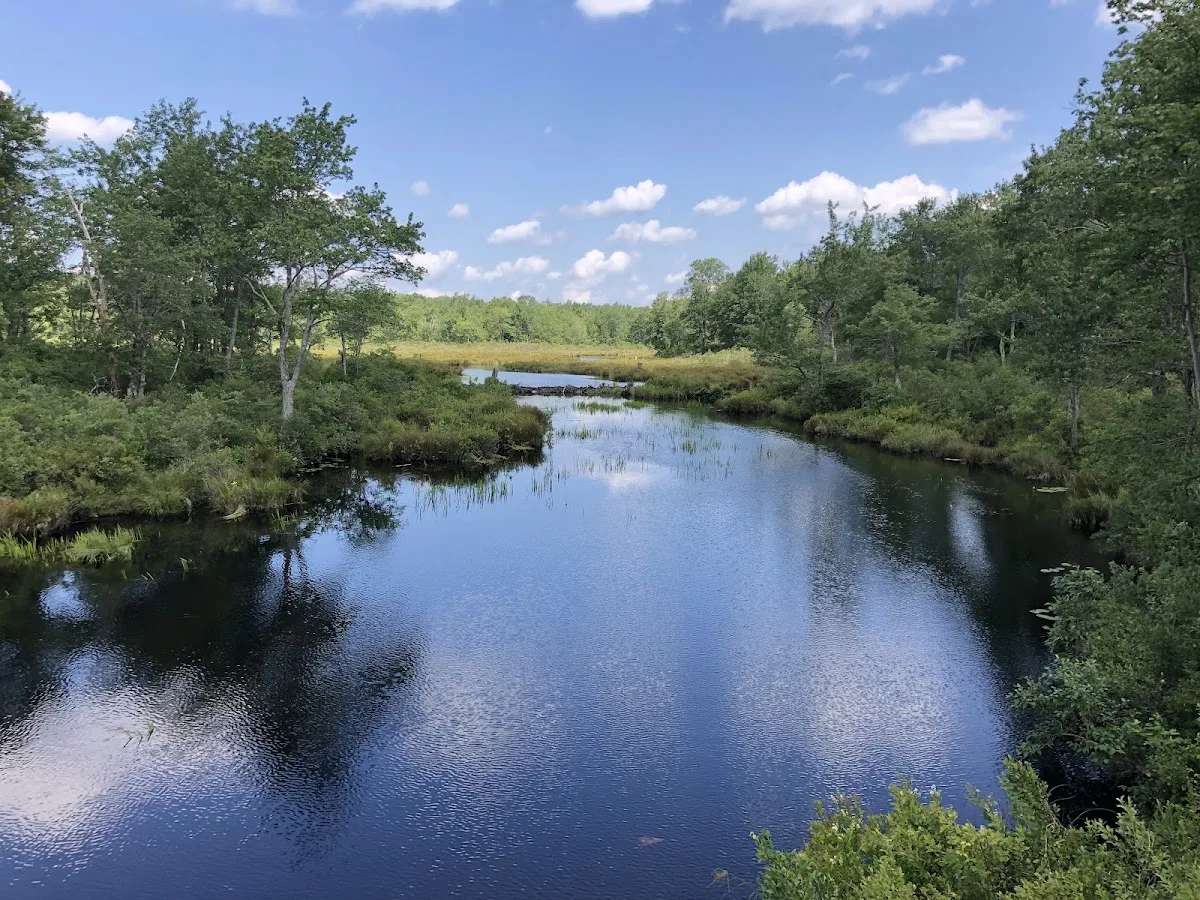 Tobyhanna State Park
