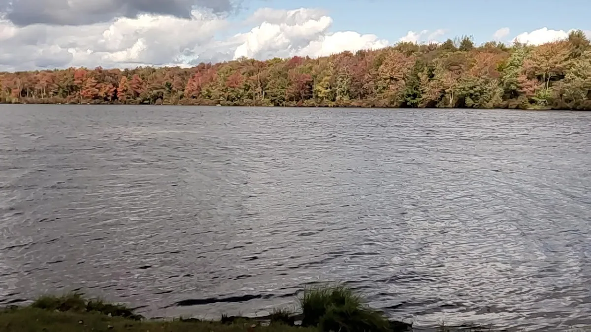 Tobyhanna State Park