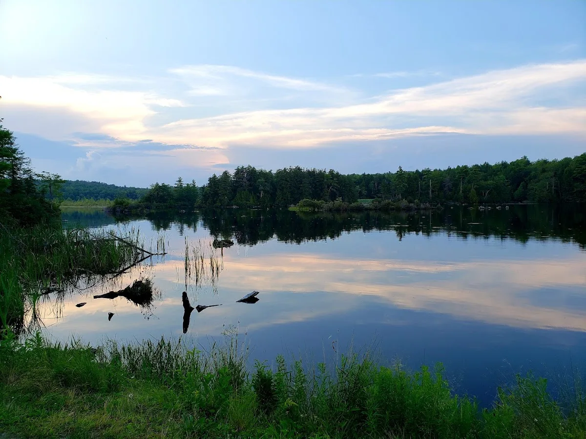 Tolland State Forest