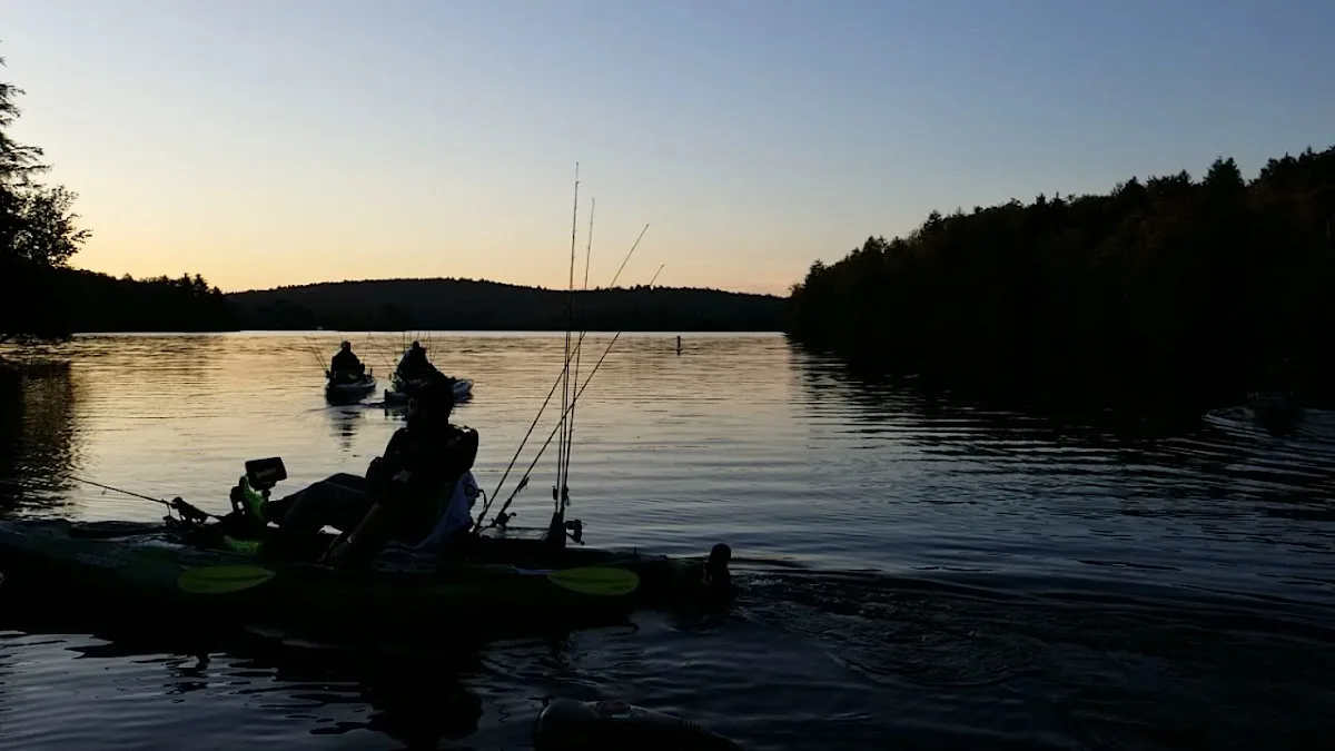 Tolland State Forest