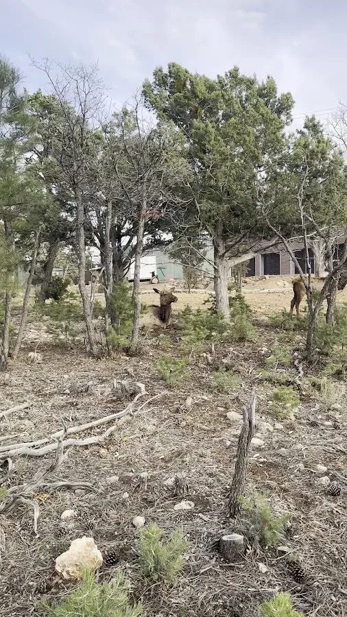 Trailer Village RV Park