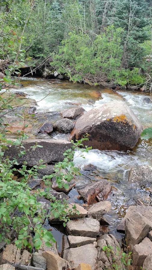 Transfer Park Campground