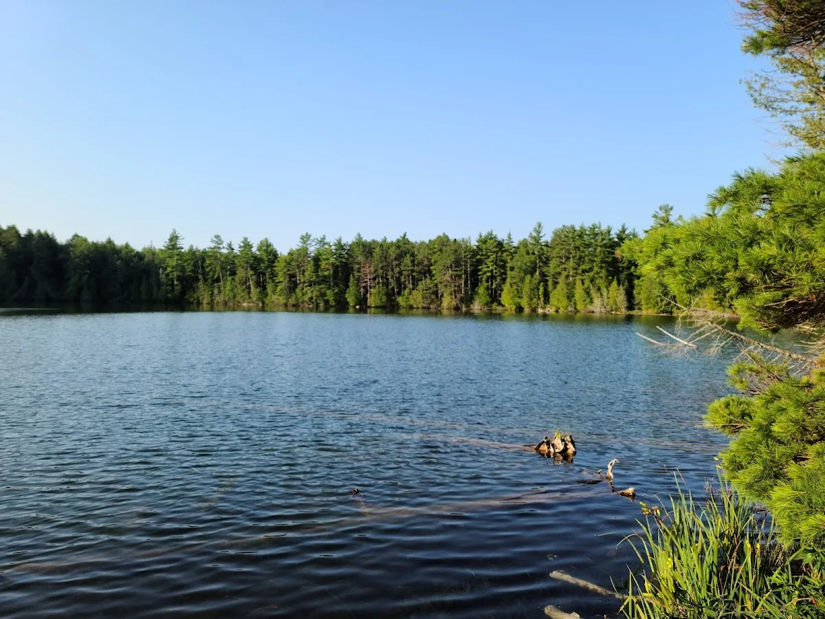 Trapper's Lake Campground