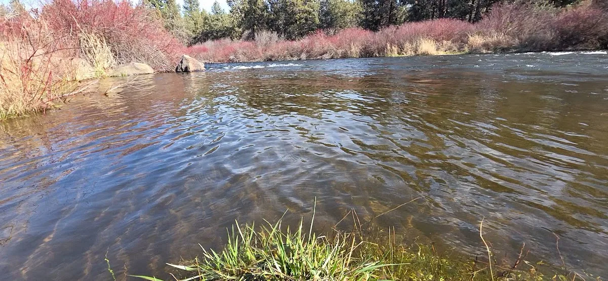 Tumalo State Park Campground