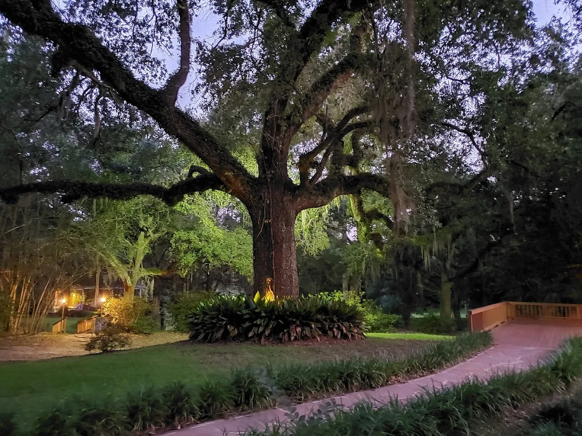 Tunica Hills Campground