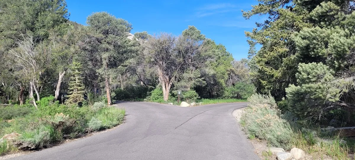 Upper Lehman Creek Campground