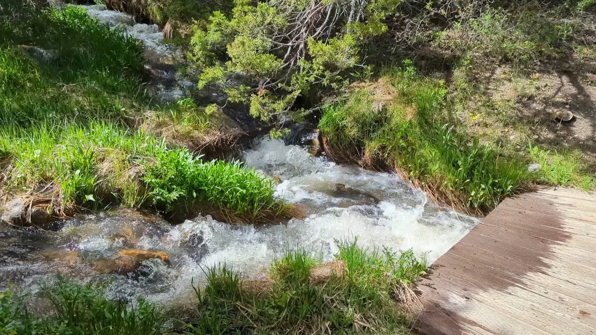 Upper Lehman Creek Campground