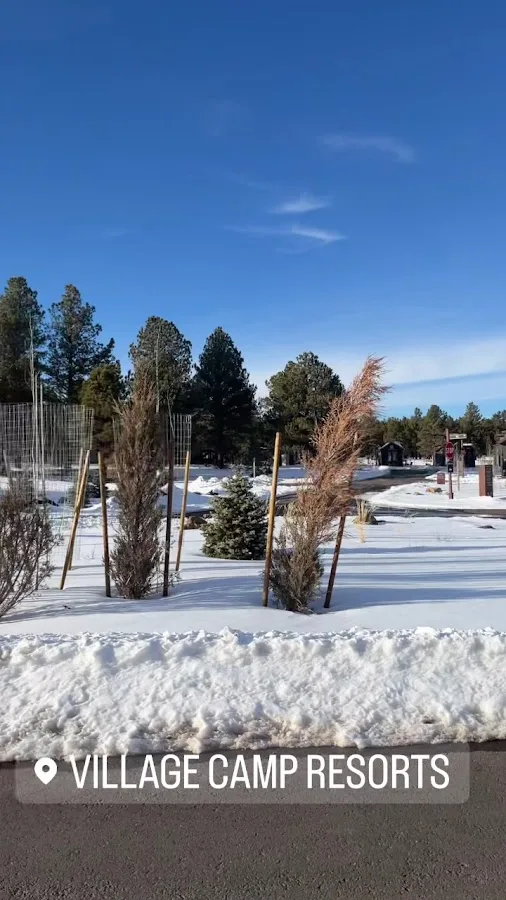 Village Camp Flagstaff