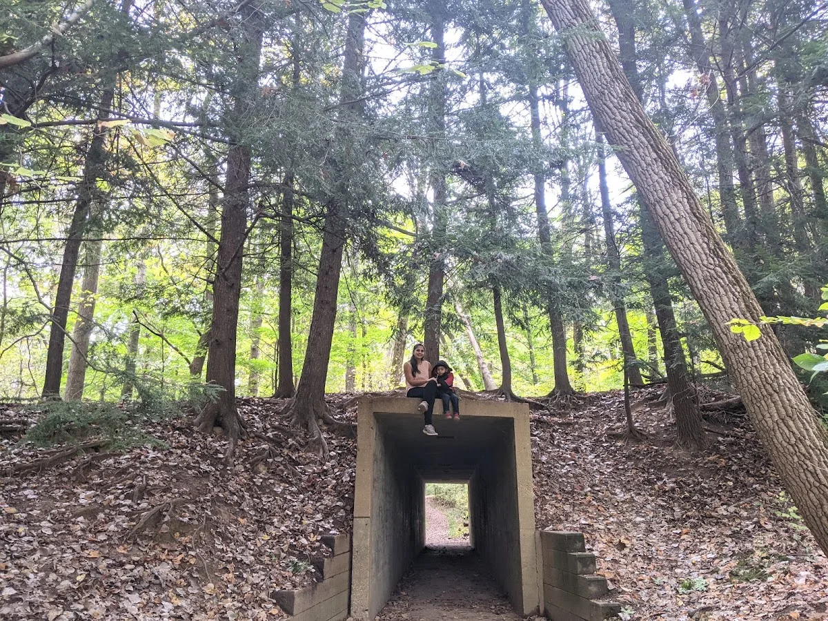 Virginia Kendall Area