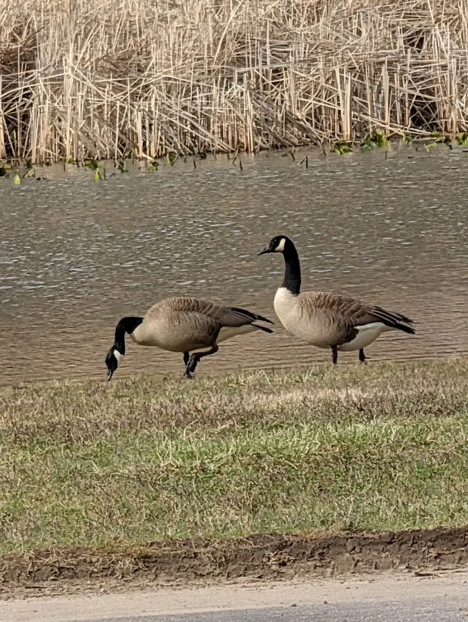 Virginia Kendall Area