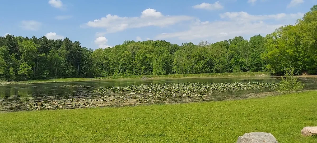 Virginia Kendall Area