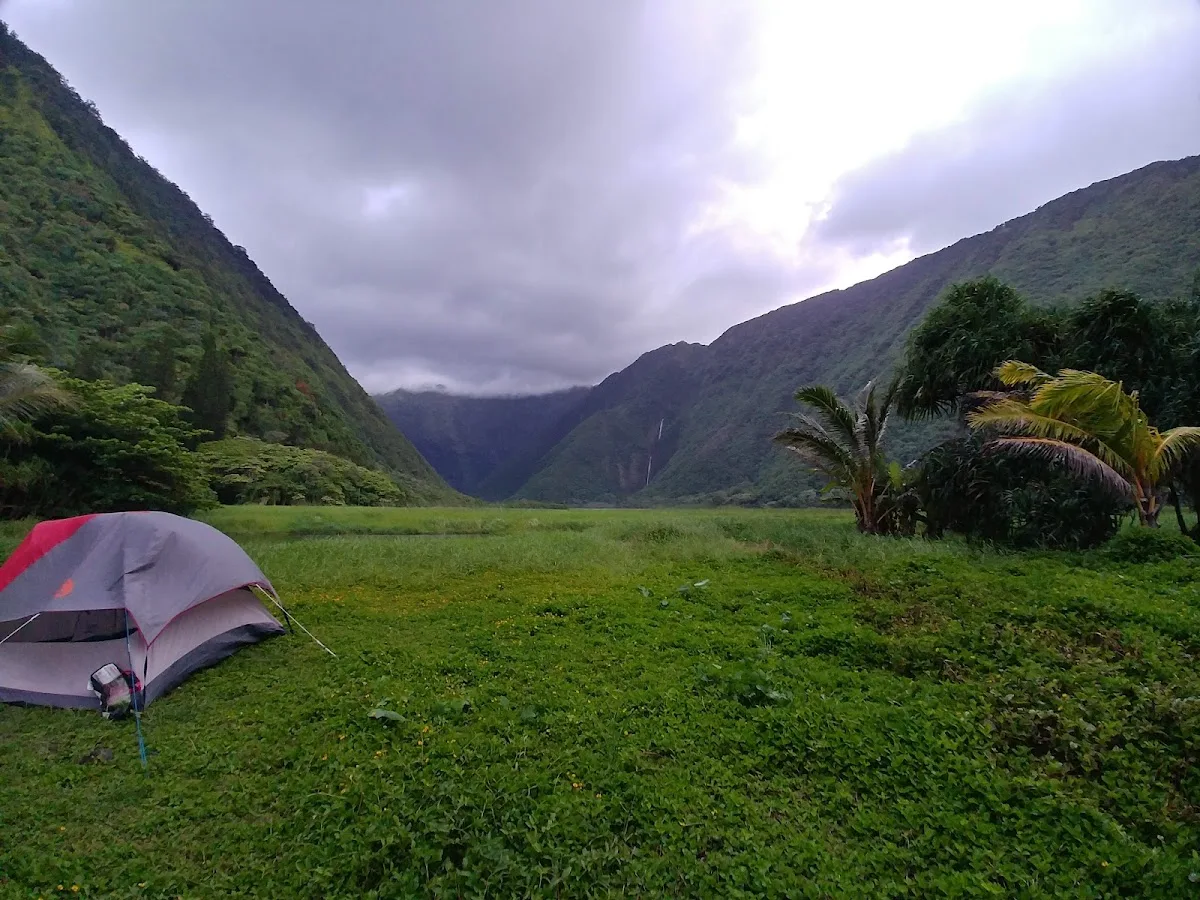 Waimanu Valley Campsites