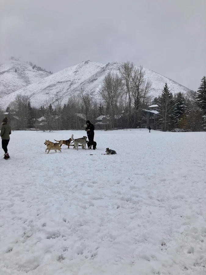 Warm Springs Preserve