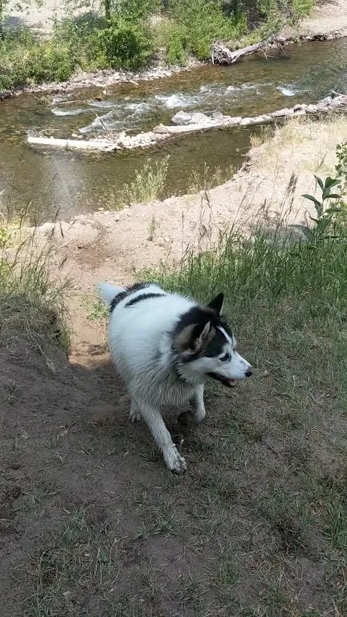Warm Springs Preserve