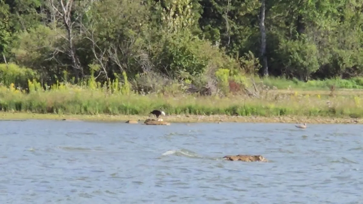Weborg Point Campground