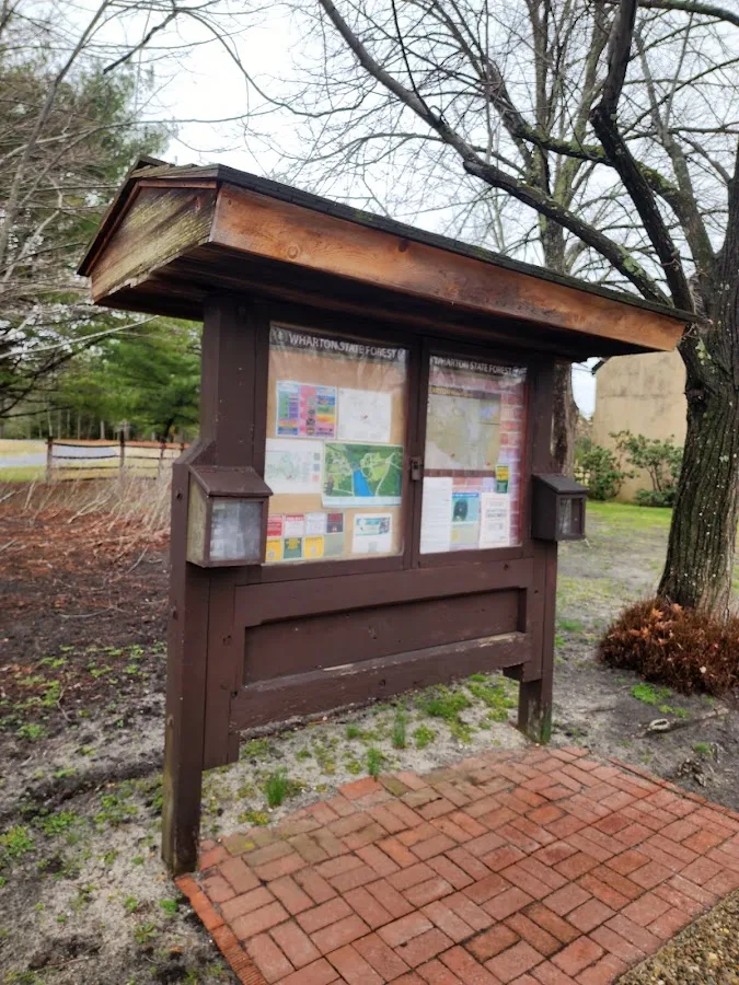 Wharton State Forest