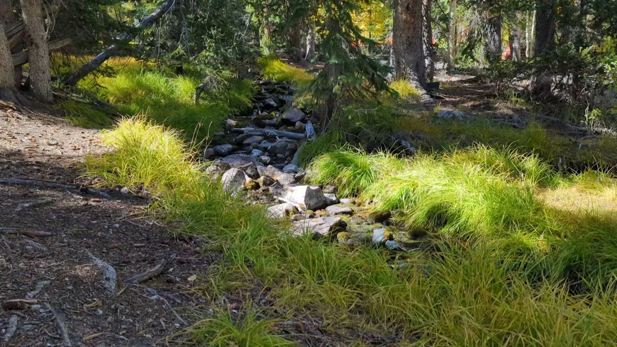 Wheeler Peak Campground