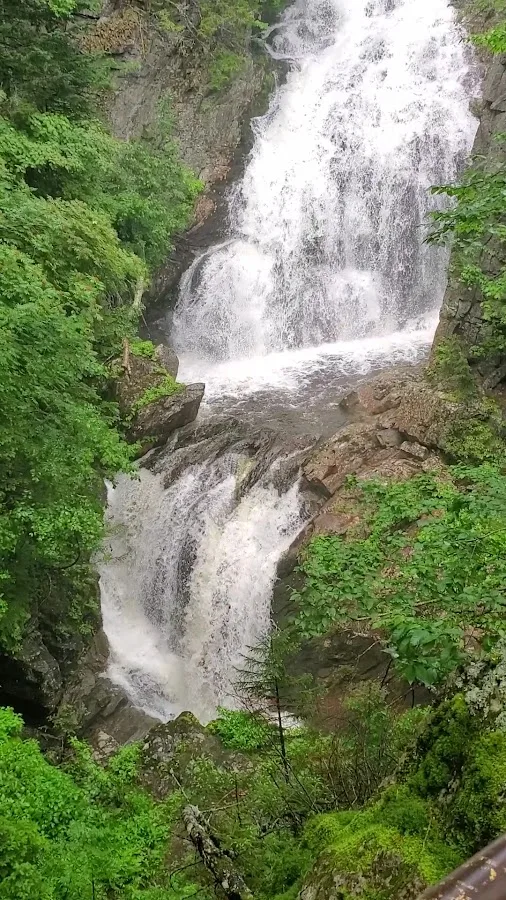 White Mountain National Forest