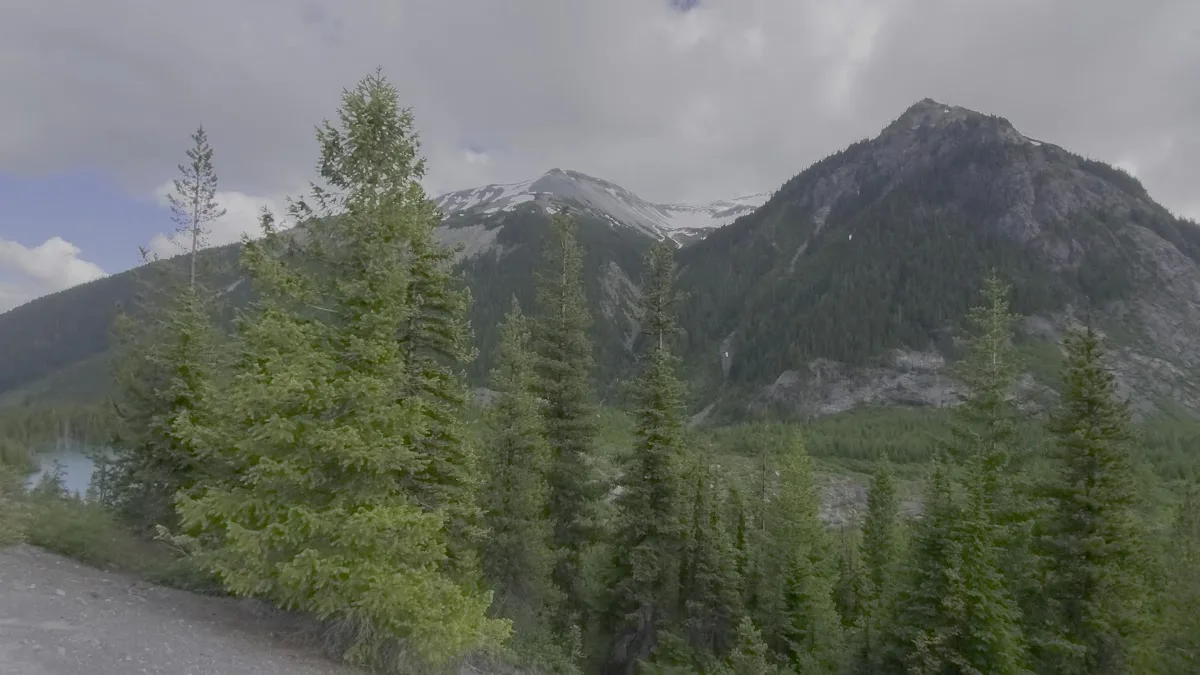 White River Campground Amphitheater