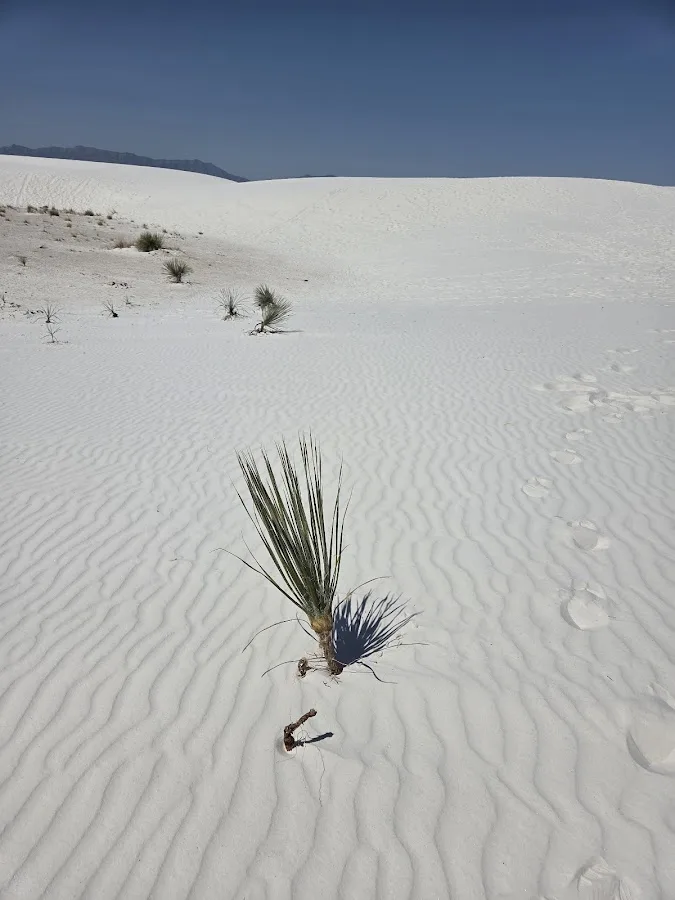 White Sands National Park