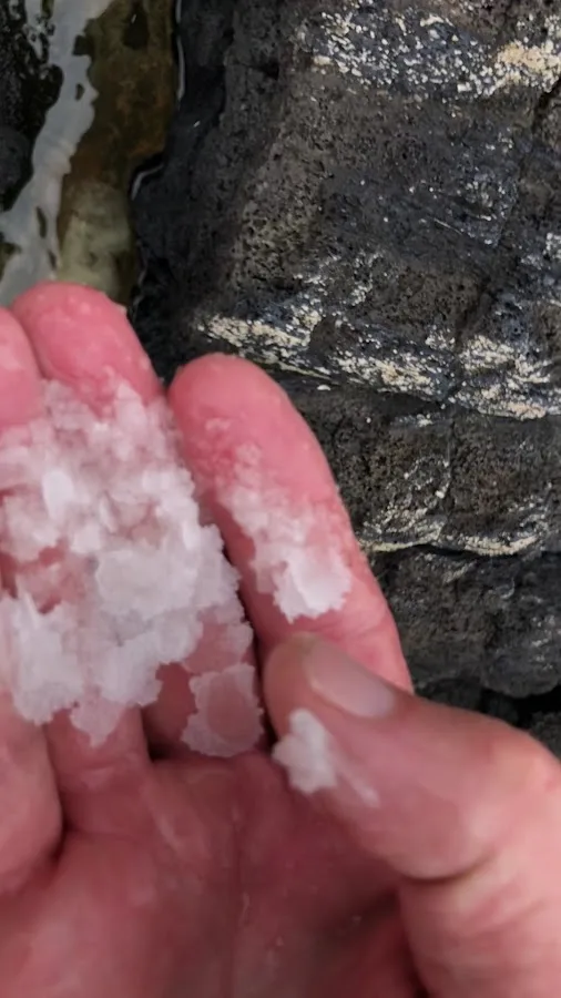 Whittington Beach Park