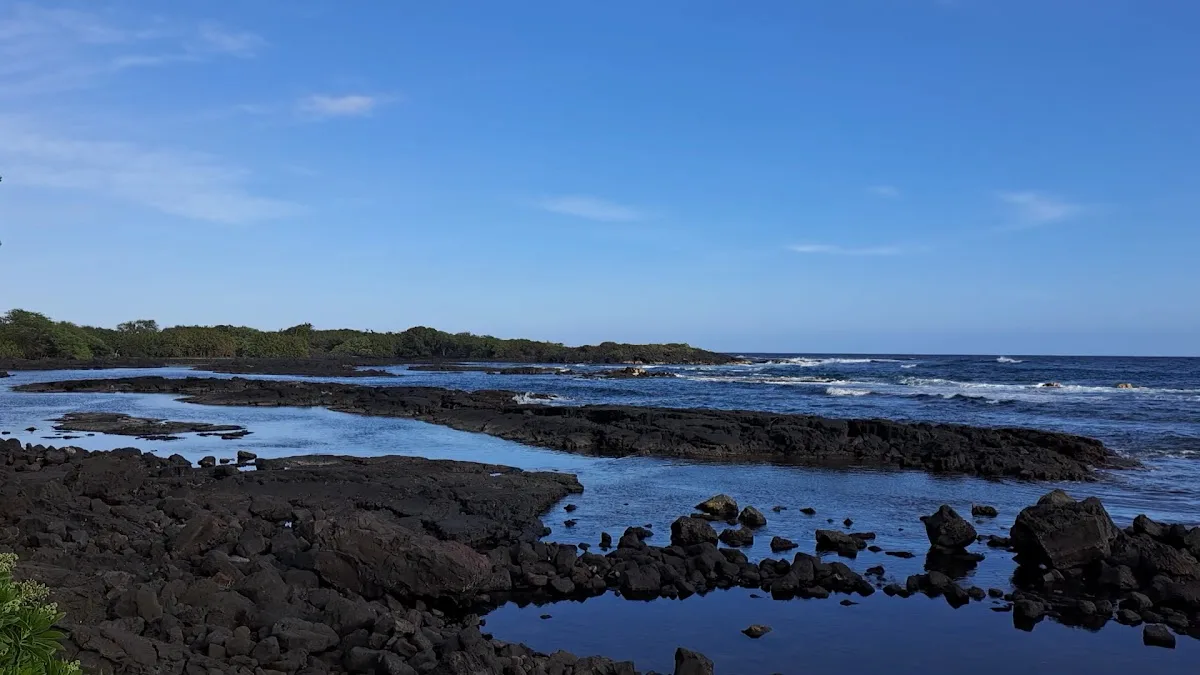 Whittington Beach Park