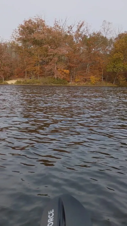 Yellowwood State Forest