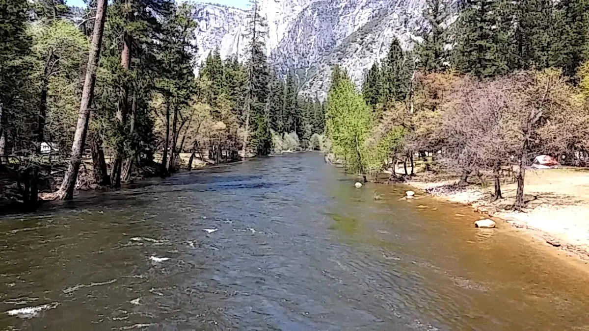 Yosemite Creek Campground