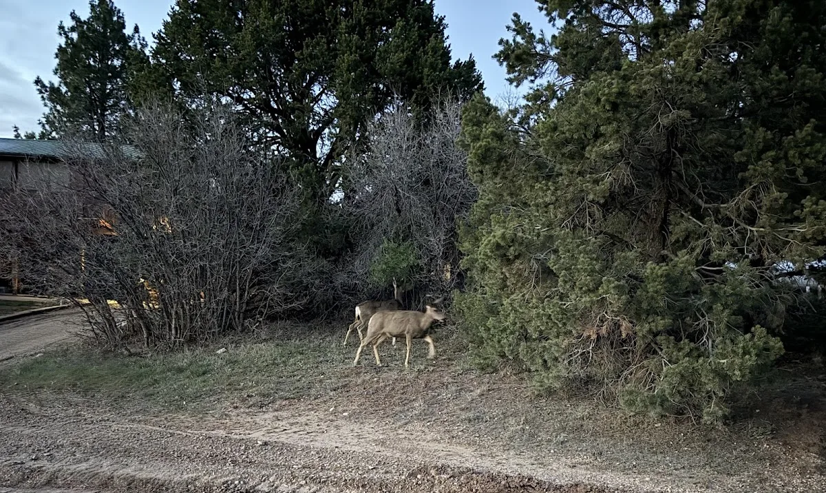 Zion Ponderosa Ranch Resort